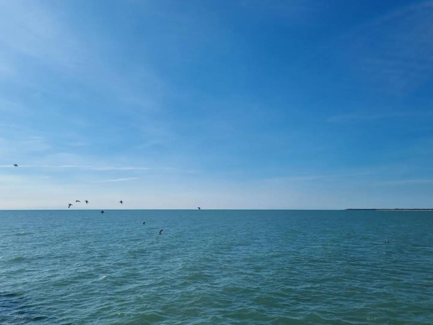 Appart-Hotel Holiday Lignano Sabbiadoro Dış mekan fotoğraf